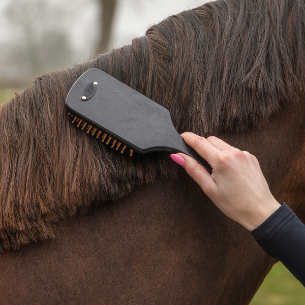 Zestaw do czyszczenia konia QHP Royal