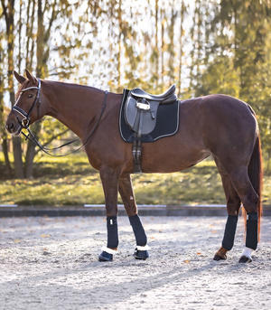 Czaprak ujeżdżeniowy Waldhausen Lugano