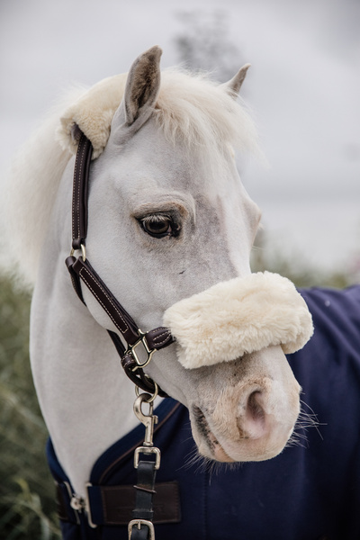 Kantar dla kucyka Kentucky Horsewear Leather Sheepskin