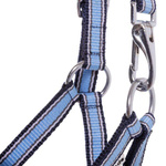 Kantar dla źrebaka Kavalkade