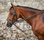 Czarna wodza skórzana Dy'on D Collection DY08A