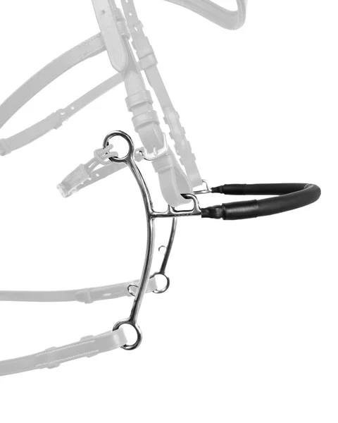 Hackamore Fager Hector