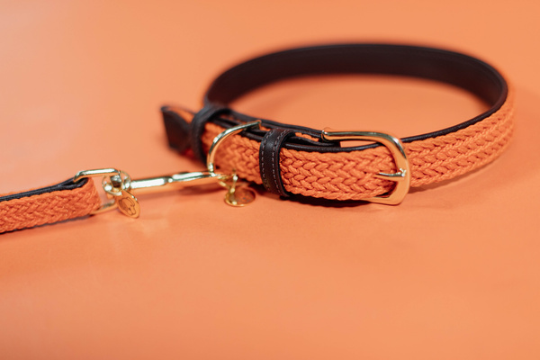Smycz dla psa Kentucky Dogwear Plaited Nylon - 120 cm