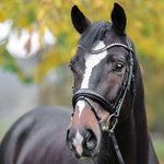 Naczółek z kryształkami Kavalkade Sparkle