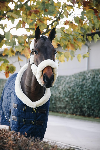 Derka stajenna Kentucky Horsewear Show Rug Logo 160g