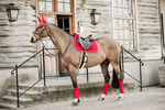 Czaprak wszechstronny Kentucky Horsewear Velvet