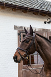 Nauszniki wyciszające Kentucky Horsewear Long Stone&Pearl