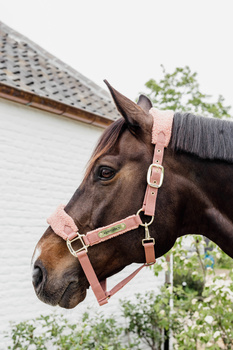 Kantar dla konia Kentucky Horsewear Teddy Fleece