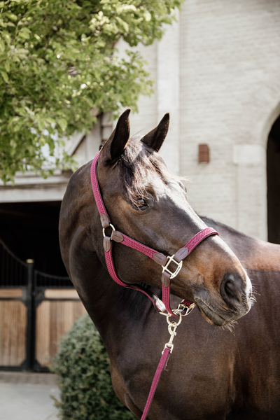 Kantar dla konia Kentucky Horsewear Plaited Nylon