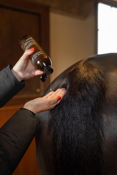 Serum wspierające porost grzywy i ogona dla koni Grooming Deluxe Mane, Tail & Hair Growth Serum