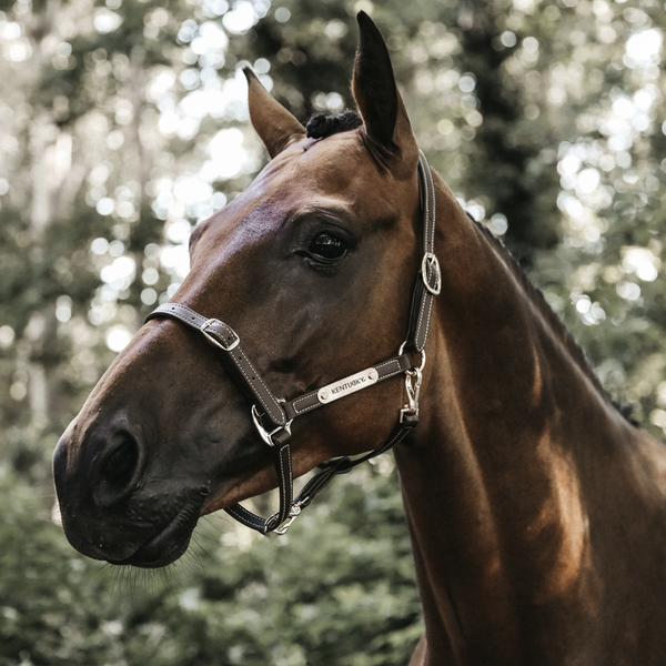 Kantar pielęgnacyjny ze skóry syntetycznej Kentucky Horsewear Leather Halter Flexible
