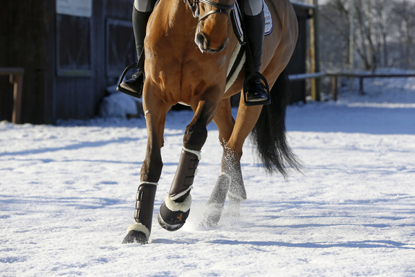 Kaloszki z futrem Kentucky Horsewear Sheepskin Solimbra