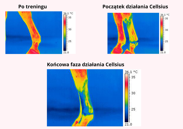 Żel intensywnie chłodzący LEOVET Cellsius