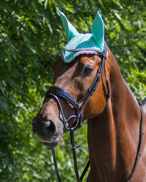 Nauszniki klasyczne QHP Color