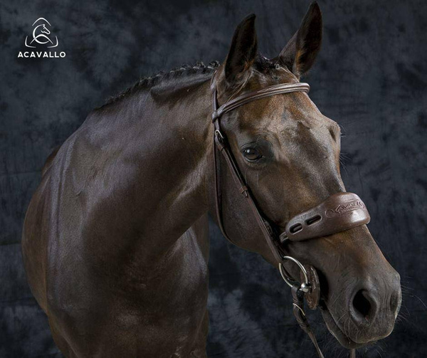 Ochraniacz żelowy na nos i potylicę Acavallo