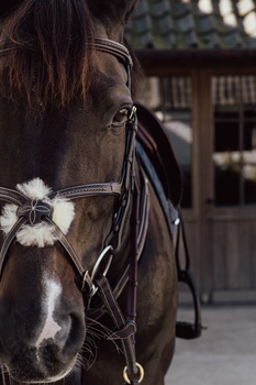 Nachrapnik meksykański Dy'on D Collection Plaited DY04V