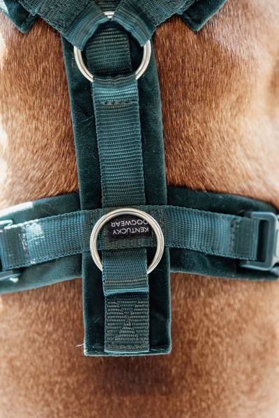 Szelki dla psa Kentucky Dogwear Active Velvet