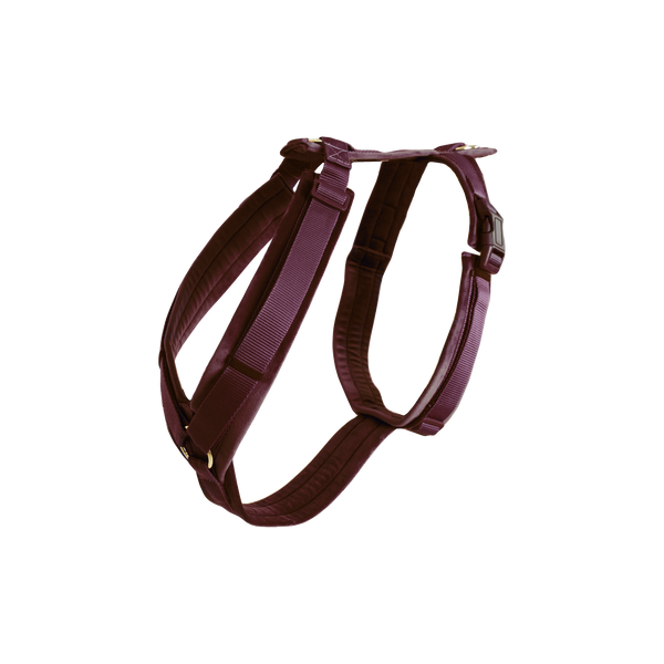 Szelki dla psa Kentucky Dogwear Active Velvet