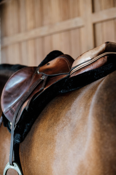 Czaprak wszechstronny Kentucky Horsewear Hunter Vegan Sheepskin