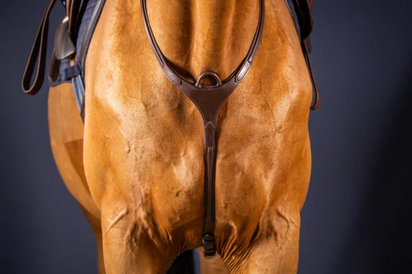 Napierśnik z mostkiem Dy'on New English Collection NE06D