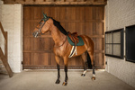 Czaprak wszechstronny Kentucky Horsewear Onion Plaited Glitter Rope