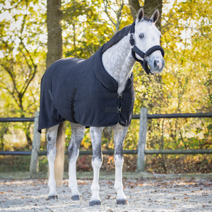 Derka na zawody QHP Zahra