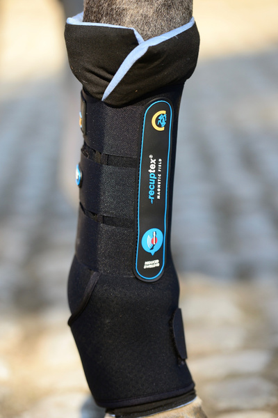 Magnetyczne ochraniacze stajenne Kentucky Horsewear Recuptex