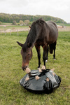 Torba na siano do boksu i na padok Grooming Deluxe Play & Haybag Slow Feeder Round 
