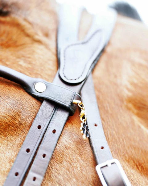 Ogłowie anatomiczne z opadającym naczółkiem IHWT Evolution Infinity