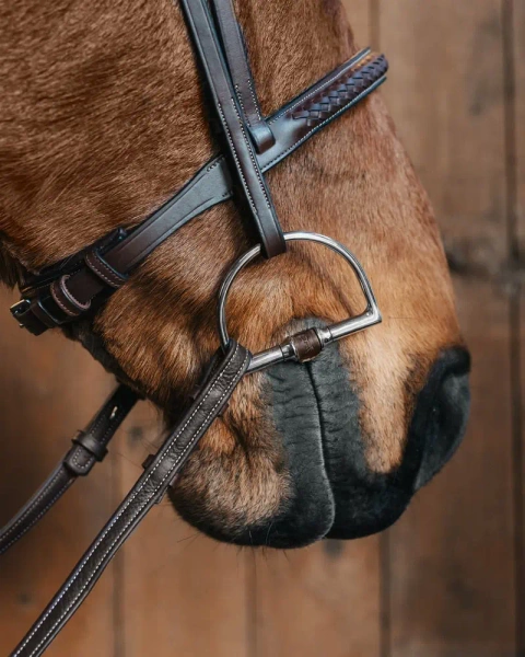 Wędzidło D-ring FAGER Adam - skórzana sztanga