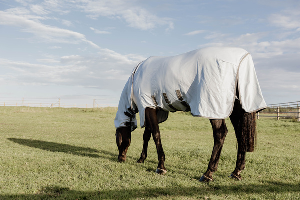 Derka siatkowa przeciw owadom z kapturem dla koni z egzemą Kentucky Horsewear Eczema Rug
