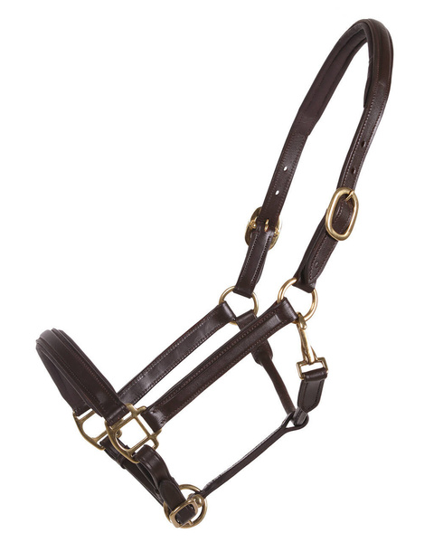 Kantar skórzany QHP Delicate