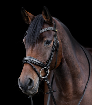 Ogłowie z nachrapnikiem szwedzkim Waldhausen S-Line Blackshine Patent