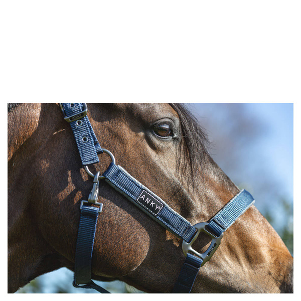 Kantar ANKY® Grooming