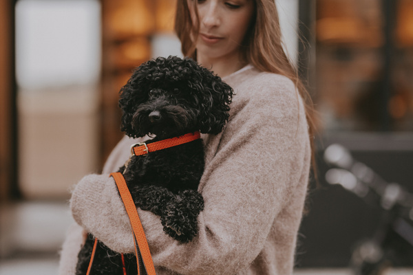 Smycz dla psa Kentucky Dogwear Plaited Nylon - 120 cm