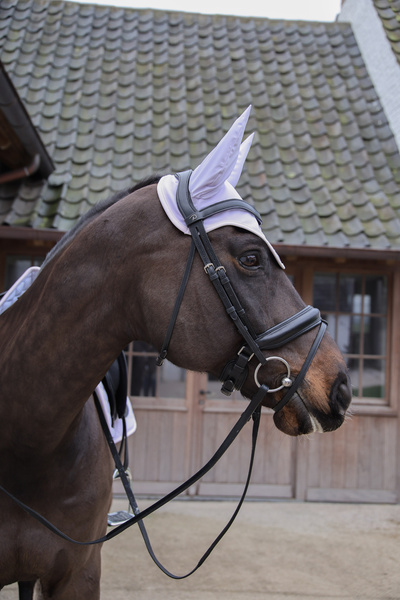 Nauszniki klasyczne Kentucky Horsewear Wellington Softshell