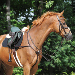 Popręg anatomiczny z futrem Kavalkade Foster Faux fur