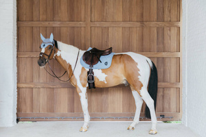 Czaprak skokowy Kentucky Horsewear Wave