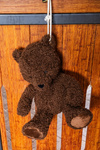 Zabawka dla konia do boksu Kentucky Horsewear Bear