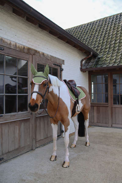 Nauszniki wyciszające Kentucky Horsewear Wellington Softshell