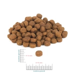 Karma sucha dla szczeniąt wszystkich ras Perro - Wołowina z batatami 1kg