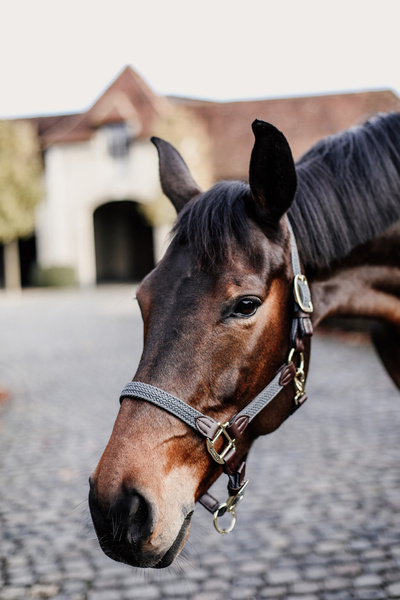 Kantar dla konia Kentucky Horsewear Plaited Nylon