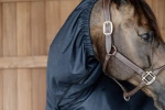 Kaptur-szalik dla konia Kentucky Horsewear Waterproof