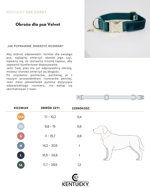Obroża dla psa Kentucky Dogwear Velvet