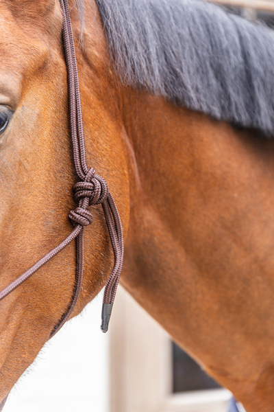 Kantar sznurkowy Grooming Deluxe