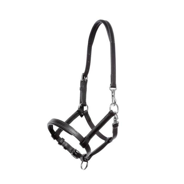 Kantar skórzany dla źrebaka Kavalkade