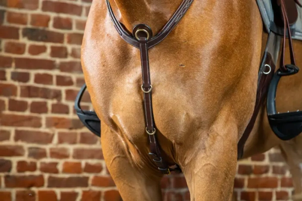 Napierśnik z mostkiem Dy'on D Collection DY06D