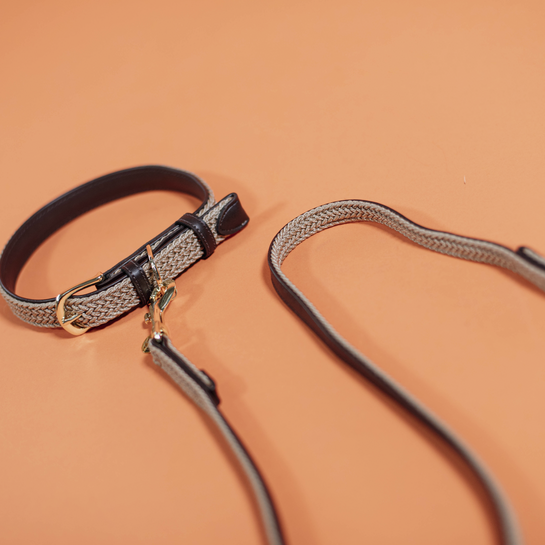 Obroża dla psa Kentucky Dogwear Plaited Nylon