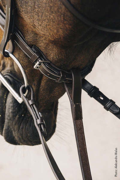 Wytok Schockemöhle Sports Santa Clara Select