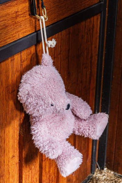 Zabawka dla konia do boksu Kentucky Horsewear Bear